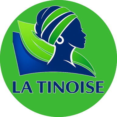 Logo La Tinoise fournisseur bureautique Abidjan